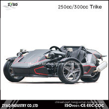 2016 Newest Design Ztr Trike Roadster 250cc EEC Approved